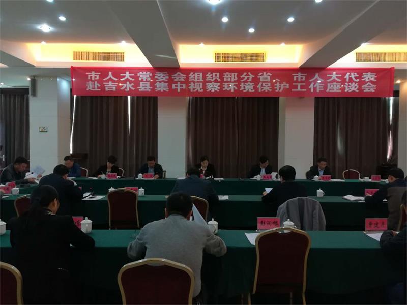 人大代表视察.jpg