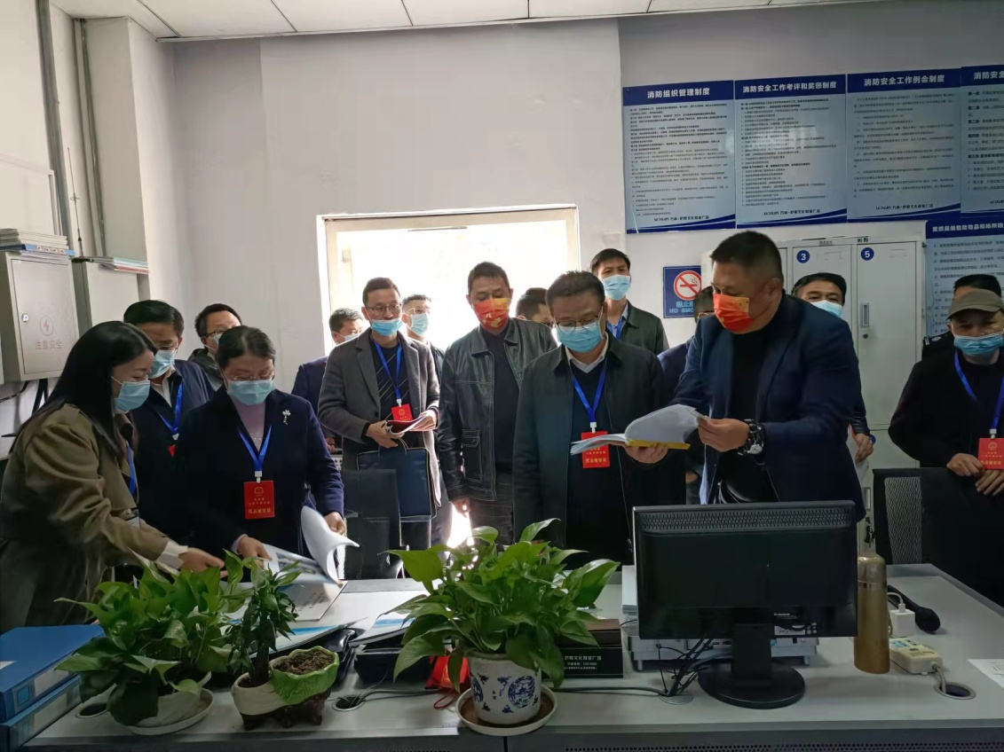 县人大常委会组织省、市、县人大代表开展全县安全生产工作专项视察