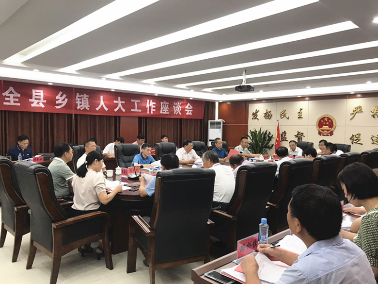 乡镇人大座谈会2.jpg