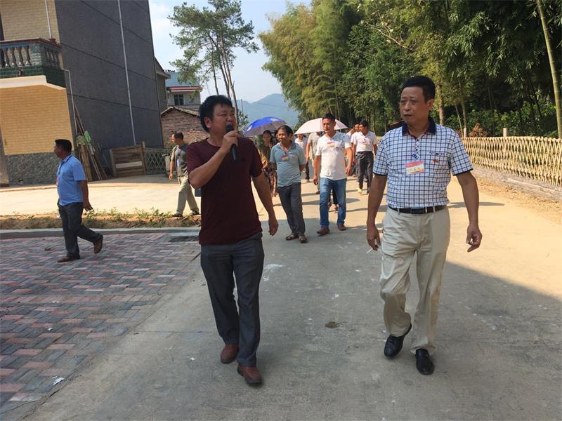 水南镇人大主席团组织部分县、镇人大代表视察美丽乡村建设.jpg