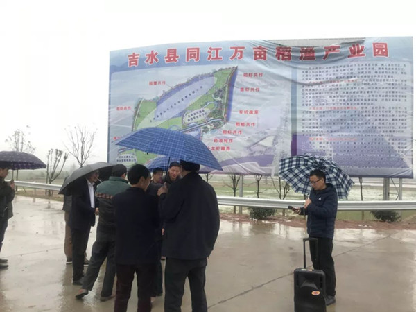 黄桥2.jpg